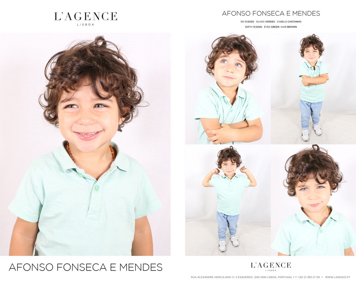 Afonso Fonseca e Mendes